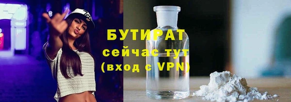 индика Няндома