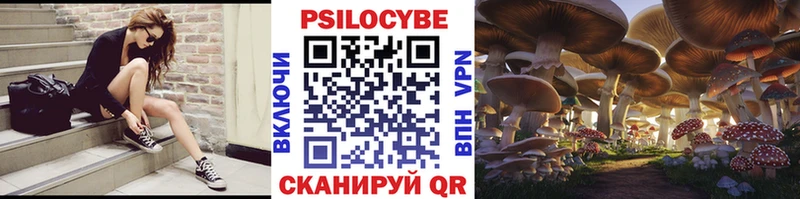 хочу наркоту  Барыш  Псилоцибиновые грибы Cubensis 